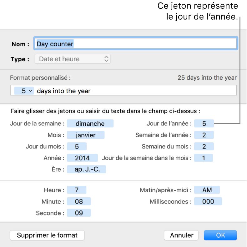 Fenêtre de format de cellule personnalisé présentant les commandes permettant de choisir un format de date et d’heure personnalisé.