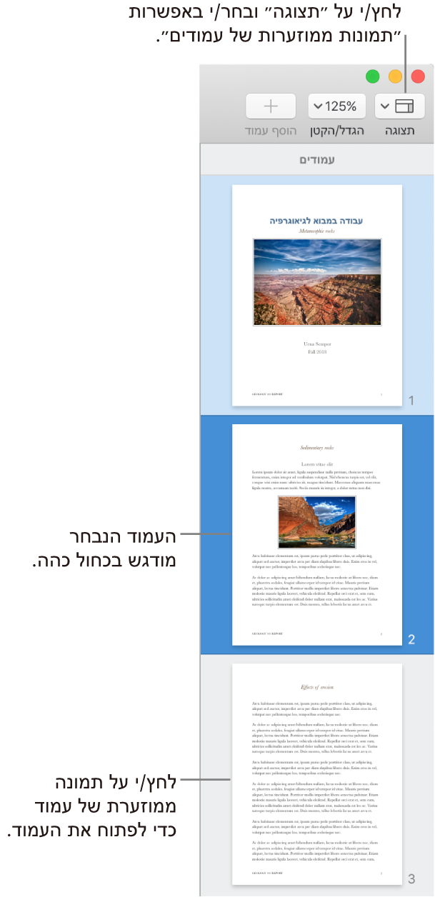 סרגל הצד בחלק השמאלי של חלון Pages, עם התצוגה ״תמונות ממוזערות של עמודים״ פתוחה והעמוד הנבחר מסומן בכחול כהה.