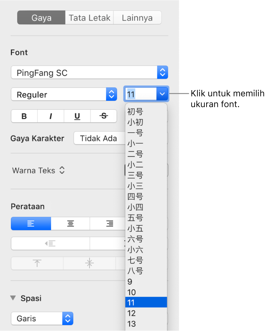 Bagian Gaya pada bar samping Format dengan menu pop-up ukuran font terbuka. Ukuran font standar pemerintah Tiongkok daratan muncul di bagian atas menu pop-up dengan ukuran poin di bawah.