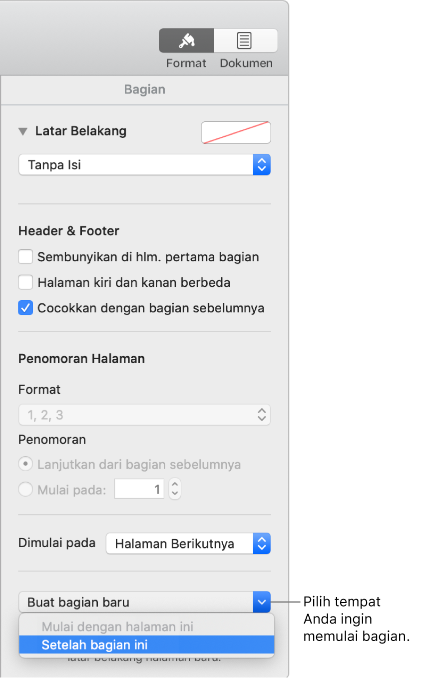 Tab Bagian dengan kontrol untuk header, footer, nomor halaman, dan tempat untuk memulai bagian baru.