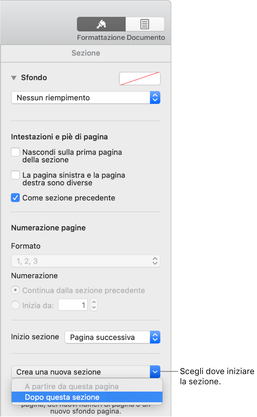 Pannello Sezione con controlli per intestazioni, piè di pagina, numeri di pagina e dove avviare la sezione.