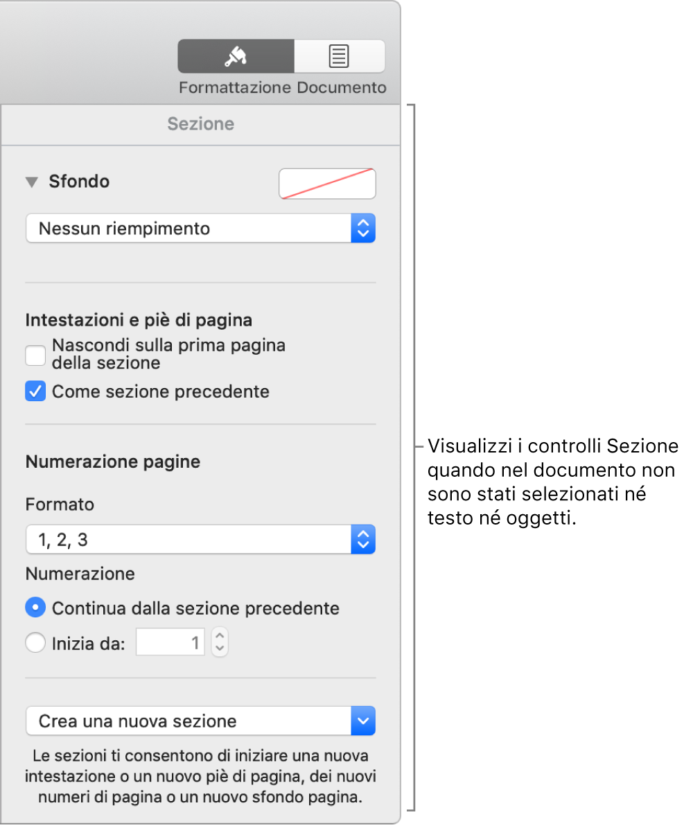 Il pulsante Formato nella barra degli strumenti è selezionato e sotto ci sono i controlli Sezione.