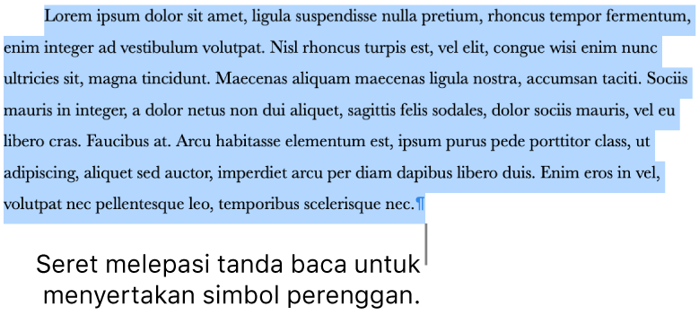 Perenggan dipilih, dengan simbol perenggan disertakan dalam pilihan.