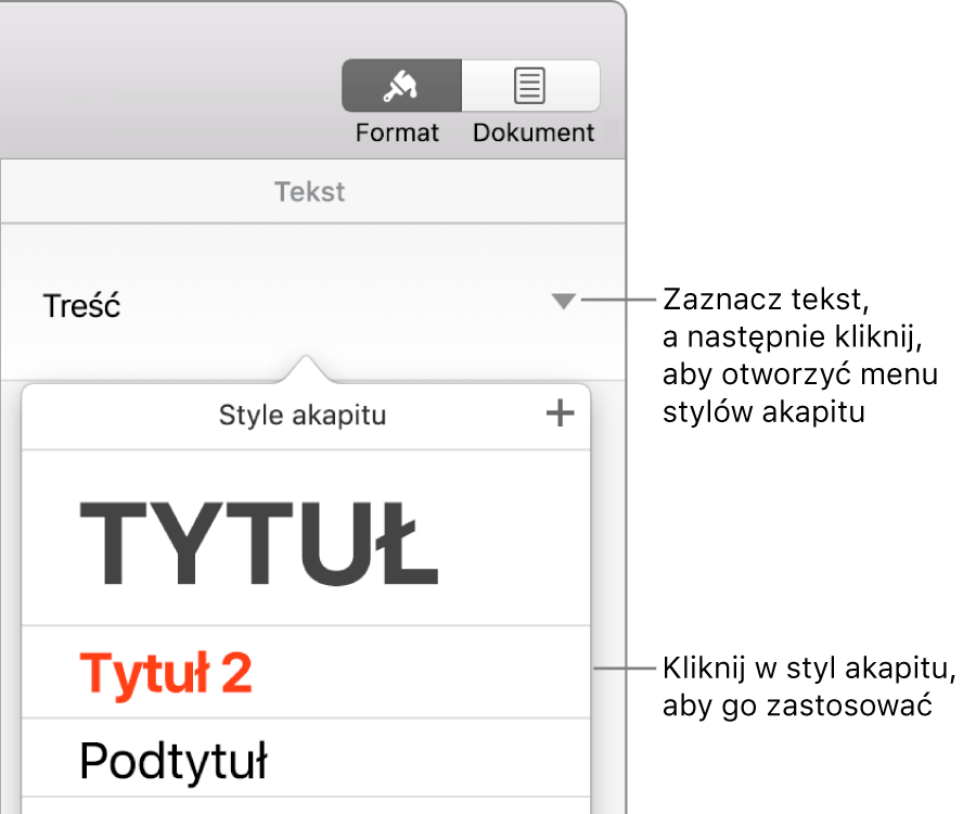 Menu Style akapitu z ikoną zaznaczenia obok zaznaczonego stylu.