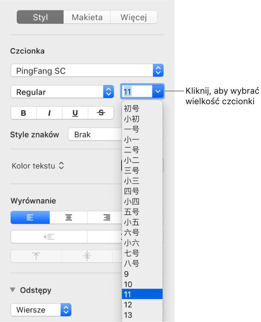 Sekcja Styl na pasku bocznym Format z otworzonym menu podręcznym wielkości czcionki. U góry menu podręcznego widoczne są wielkości czcionek zgodne ze standardem rządowym Chin kontynentalnych. Poniżej znajdują się rozmiary wyrażone w punktach.