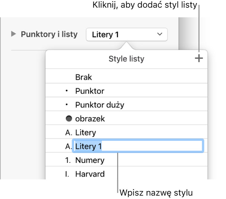 Menu podręczne Style listy z przyciskiem Dodaj w prawym górnym rogu oraz zaznaczoną zastępczą nazwą stylu.