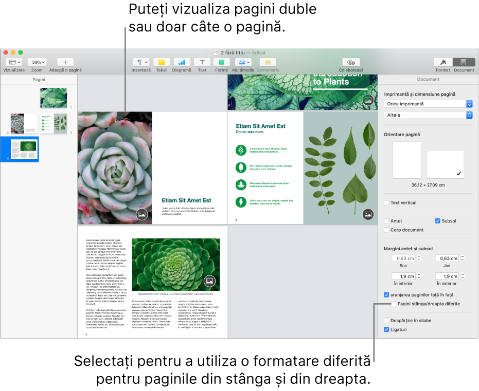 Fereastra Pages cu miniaturile paginilor și paginile documentului afișate ca pagini duble. În bara laterală Document din dreapta, caseta de dialog „Pagini stânga/dreapta diferite” este neselectată.