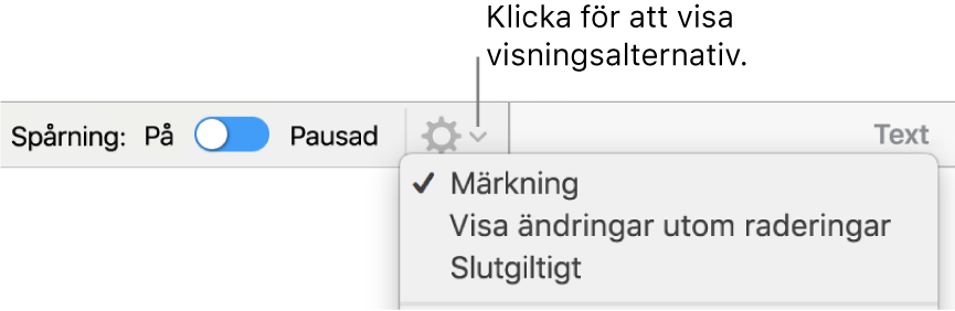 Menyn med granskningsalternativ som visar Märkning, Visa ändringar utom raderingar och Slutgiltigt.