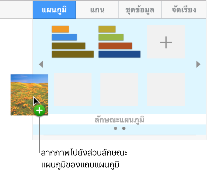 ลากภาพลงในส่วนลักษณะแผนภูมิของแถบด้านข้างเพื่อสร้างลักษณะใหม่