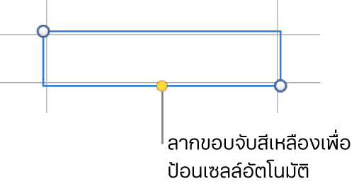 เซลล์ที่เลือกที่มีขอบจับสีเหลือง ซึ่งคุณสามารถลากเพื่อป้อนเซลล์อัตโนมัติได้