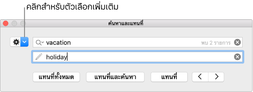 หน้าต่างค้นหาและแทนที่ที่มีคำบรรยายของปุ่มเพื่อแสดงตัวเลือกเพิ่มเติม