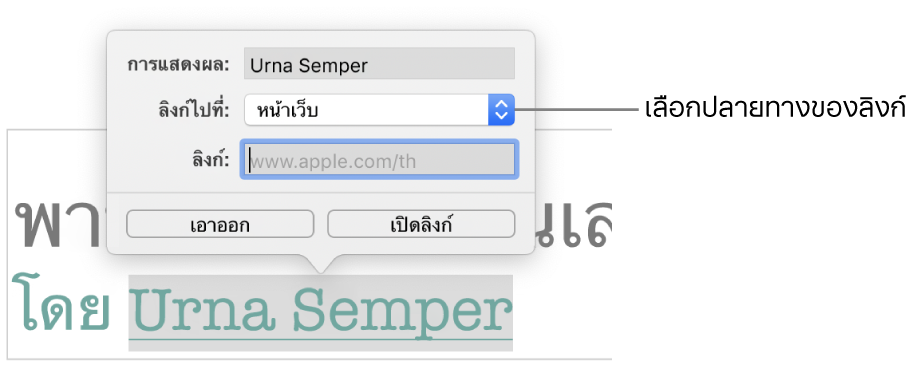 หน้าต่างการตั้งค่าลิงก์ที่แสดงขึ้นที่มีช่องการแสดงผล ลิงก์ไปที่ (ตั้งค่าเป็นหน้าเว็บ) และช่องลิงก์ ปุ่มเอาออกและปุ่มเปิดลิงก์อยู่ด้านล่างสุดของหน้าต่างที่แสดงขึ้น