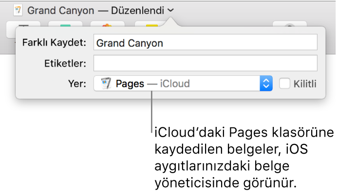 Yer açılır menüsünde Pages—iCloud olan bir belge için Kaydet sorgu kutusu.