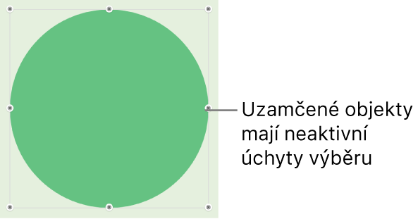 Uzamčený objekt s šedě zobrazenými úchyty výběru