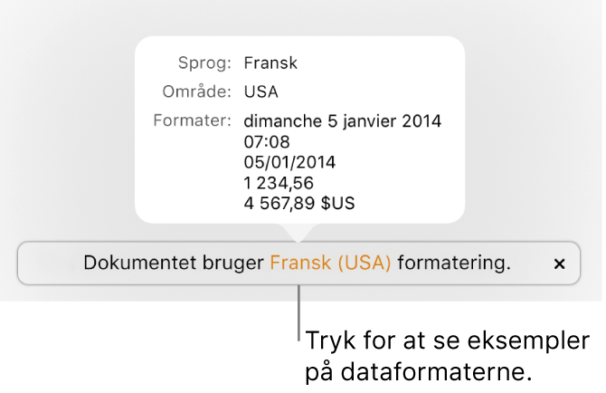 Meddelelsen om de forskellige indstillinger af sprog og område, der viser eksempler på den formatering, som hører til sproget og området.