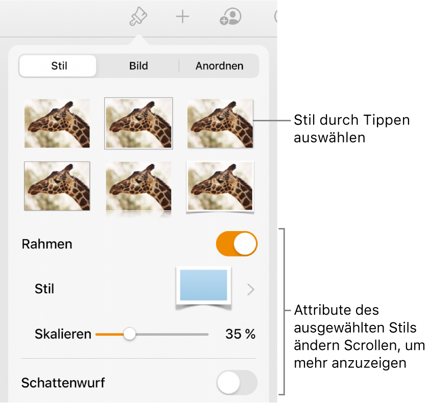 Der Tab „Stil“ des Menüs „Format“ mit Objektstilen oben und darunter Steuerelementen zum Ändern von Rahmen, Schatten, Reflexion und Deckkraft