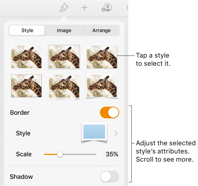 The Style tab with image styles at the top and the Style Options button at the bottom.