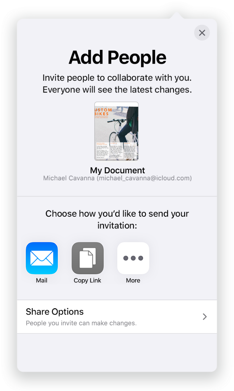 The Add People screen showing a picture of the document to be shared. Below it are buttons for ways to send the invitation, including Mail, a Copy Link and More. At the bottom is the Share Options button.