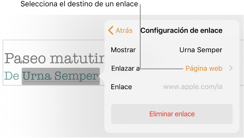 La pantalla emergente de Configuraciones de enlace con Campo de visualización (enlace al sitio web) y Campo de enlace. Al final de la ventana emergente está la opción "Eliminar enlace".