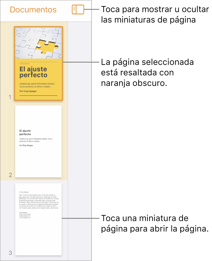 La visualización de miniaturas de página en el lado izquierdo de la pantalla con una sección de dos páginas, una línea separadora y luego una página de la siguiente sección. El botón Visualización está arriba de las miniaturas.