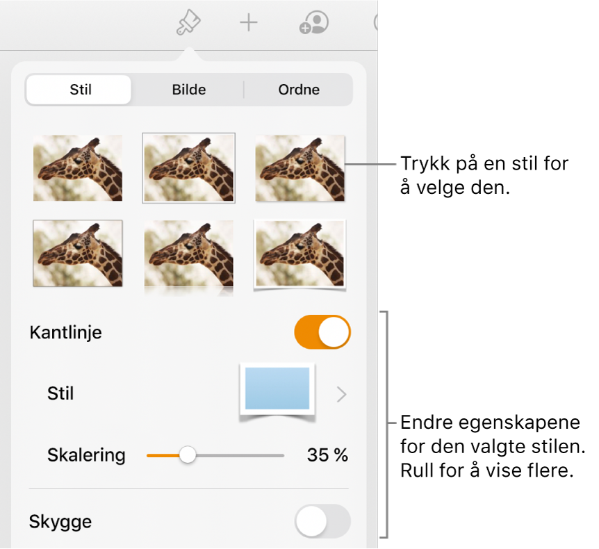 Stil-fanen med bildestiler øverst og Stilvalg-knappen nederst.