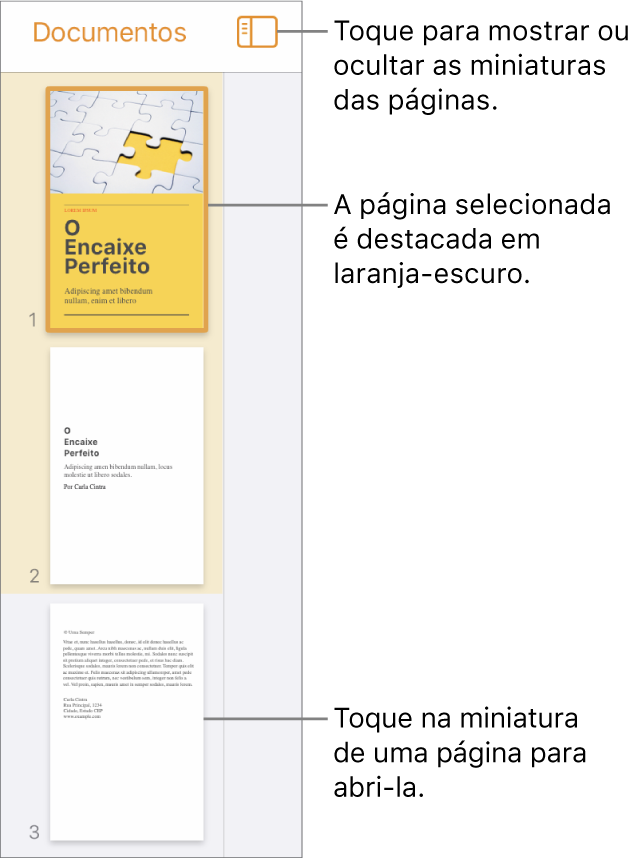 Visualização de Miniaturas de Página na parte esquerda da tela com uma seção de duas páginas, uma linha separadora e uma página da seção seguinte. O botão Visualizar aparece acima das miniaturas.