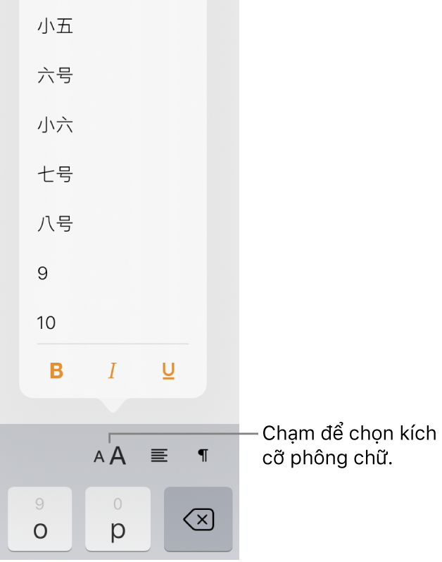 Nút Cỡ chữ nằm ở bên phải của bàn phím iPad với menu Cỡ chữ được mở. Các cỡ chữ tiêu chuẩn của chính phủ Trung Quốc đại lục xuất hiện ở đầu menu, cùng với các kích cỡ tính theo điểm ở bên dưới.