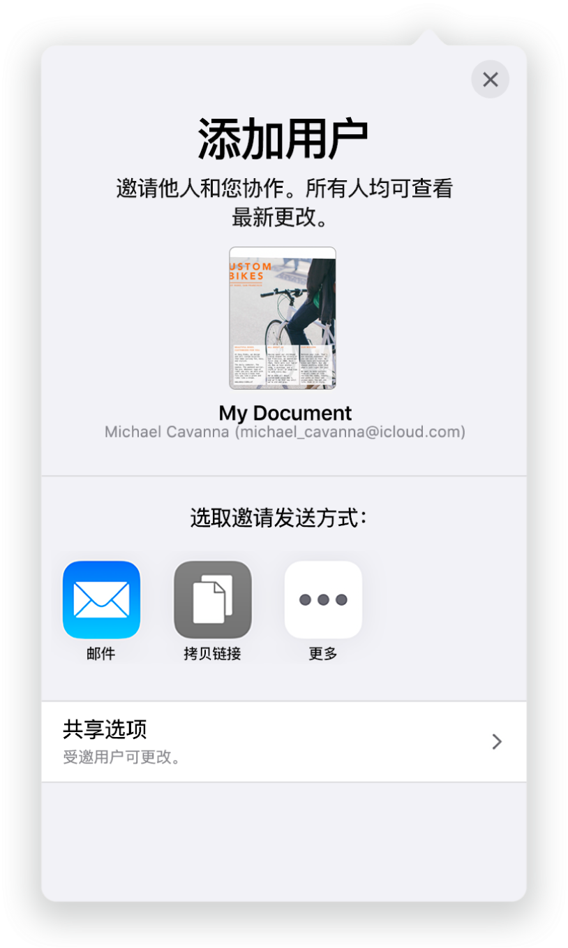 “添加用户”屏幕,显示要共享文稿的图像。其下方是邀请发送方式的按钮,包括“邮件”和“拷贝链接”等。底部是“共享选项”按钮。