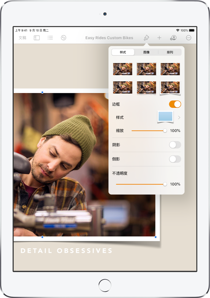 用于更改所选图像大小和外观的“格式”控制。控制顶部的“样式”、“图像”和“排列”按钮。