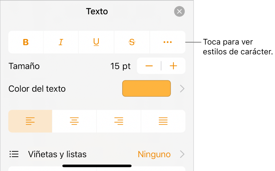 Los controles de formato con los botones Negrita, Cursiva, Subrayado, Tachado y “Más opciones de texto”.