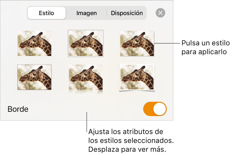 La pestaña Estilo del menú Formato con estilos de objetos en la parte superior y un control debajo para cambiar el borde.