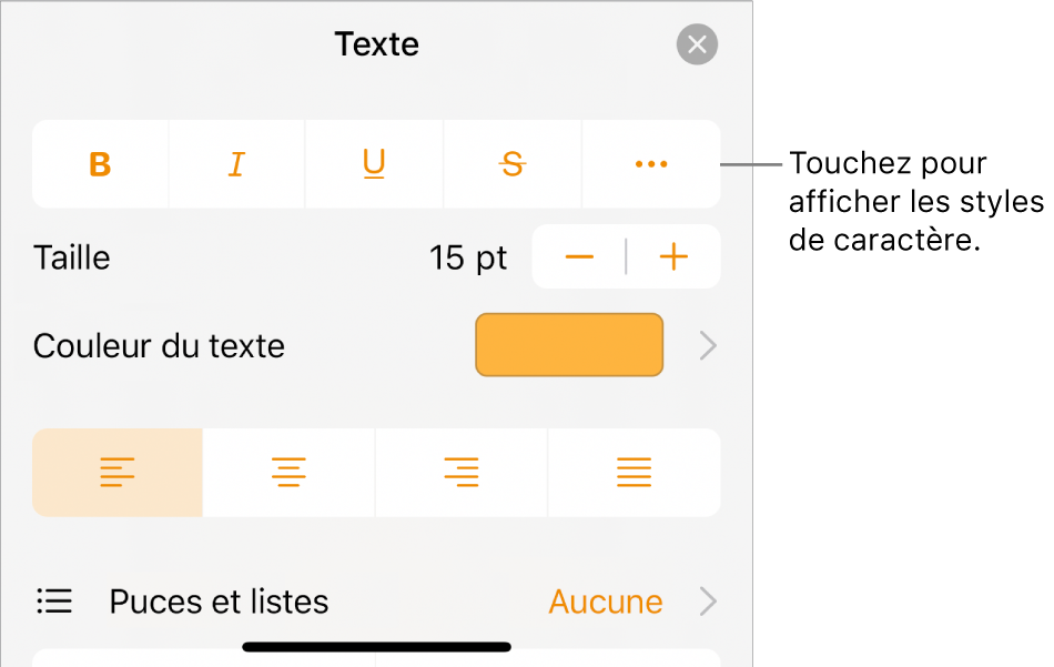 Les commandes Format avec les boutons Gras, Italique, Souligné, Barré et Plus d’options de texte.