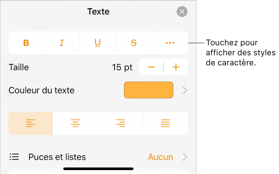 Les commandes de mise en forme, avec les boutons Gras, Italique, Souligné, Barré et « Plus d’options de texte ».