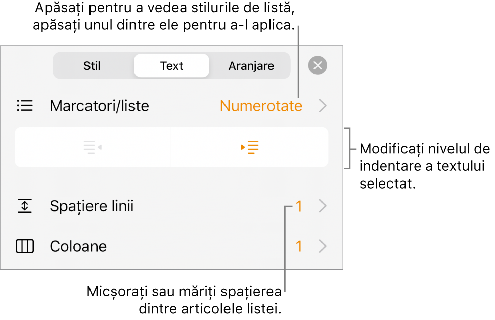 Secțiunea Marcatori/liste din comenzile Format cu explicații pentru Marcatori/liste, butoanele de indentare și indentare exterioară, precum și comenzile pentru spațierea liniilor.