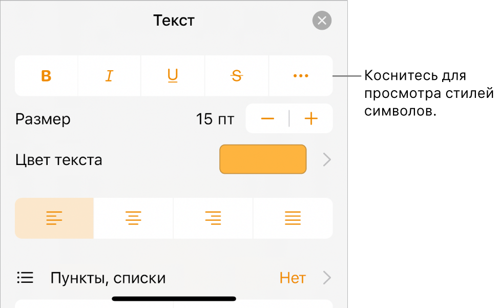 Панель «Формат» с кнопками жирного шрифта, курсива, подчеркивания и зачеркивания, а также кнопкой «Дополнительные параметры текста».