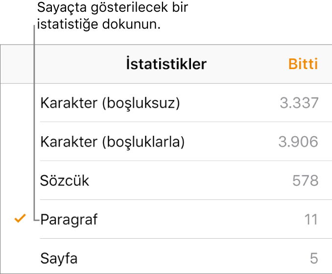 Boşluksuz ve boşluklu karakter sayısını, sözcük sayısını, paragraf sayısını ve sayfa sayısını gösterme seçeneklerini gösteren İstatistikler menüsü.