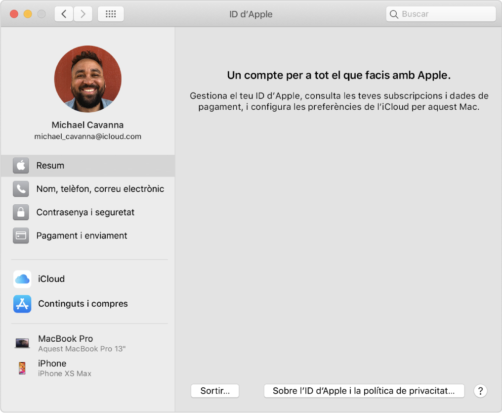 Les preferències de l’ID d’Apple, que mostren una barra lateral amb diversos tipus d’opcions de compte que pots utilitzar i el tauler de preferències “Visió general” d’un compte existent.