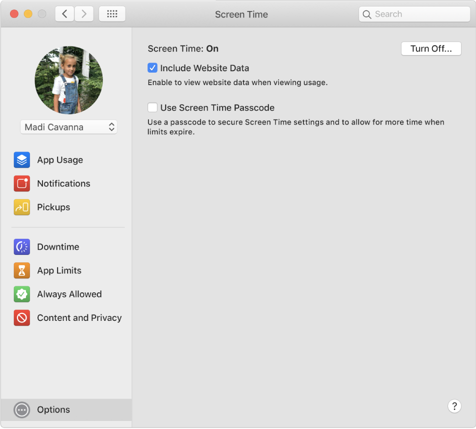 The Screen Time Options pane with Screen Time turned on. The Include Website Data option is selected.