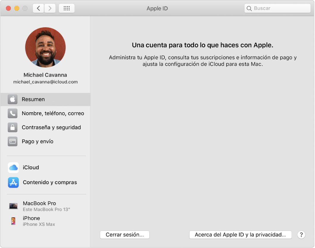 El panel de preferencias Apple ID mostrando una barra lateral de los distintos tipos de opciones de cuentas que puedes usar y las preferencias de Resumen de una cuenta existente.