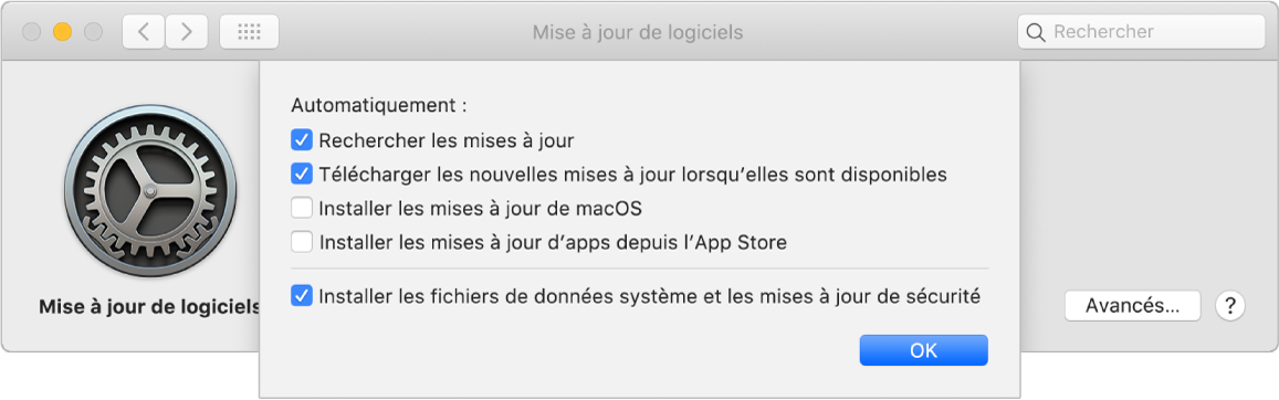 Options avancées des préférences Mises à jour de logiciels.