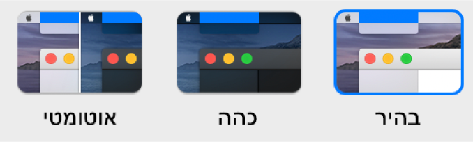 דוגמאות של המראה הבהיר, המראה הכהה והמראה במצב האוטומטי.