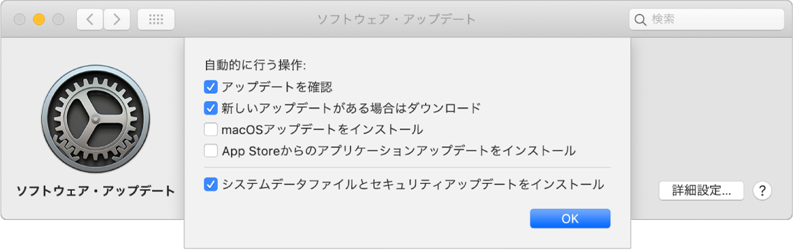 「ソフトウェア・アップデート」環境設定の「詳細」オプション。