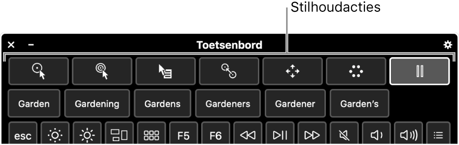 De knoppen voor stilhoudacties staan boven in het toegankelijkheidstoetsenbord.