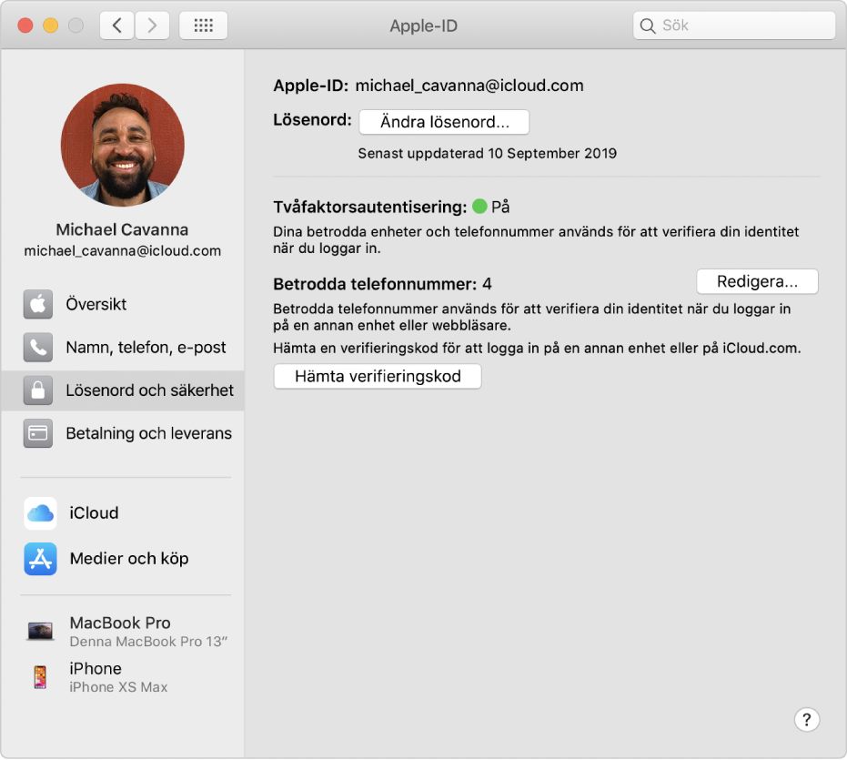 Inställningspanelen Apple-ID med ett sidofält med olika typer av kontoalternativ som du kan använda och inställningspanelen Lösenord och säkerhet för ett befintligt konto.