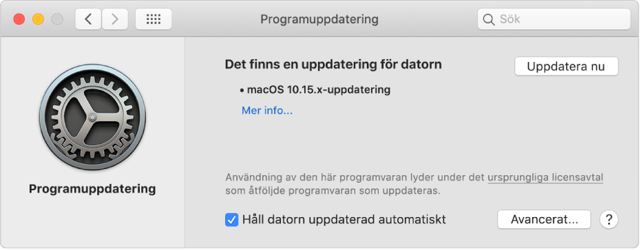 Inställningspanelen Programuppdatering med en tillgänglig uppdatering.