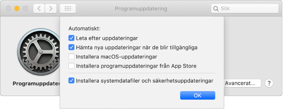 Avancerade alternativ för programuppdatering.