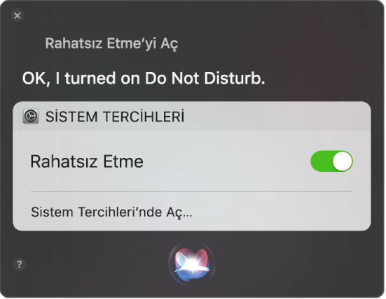 Görevi tamamlama isteğini gösteren Siri penceresi, “Rahatsız etme’yi aç.”