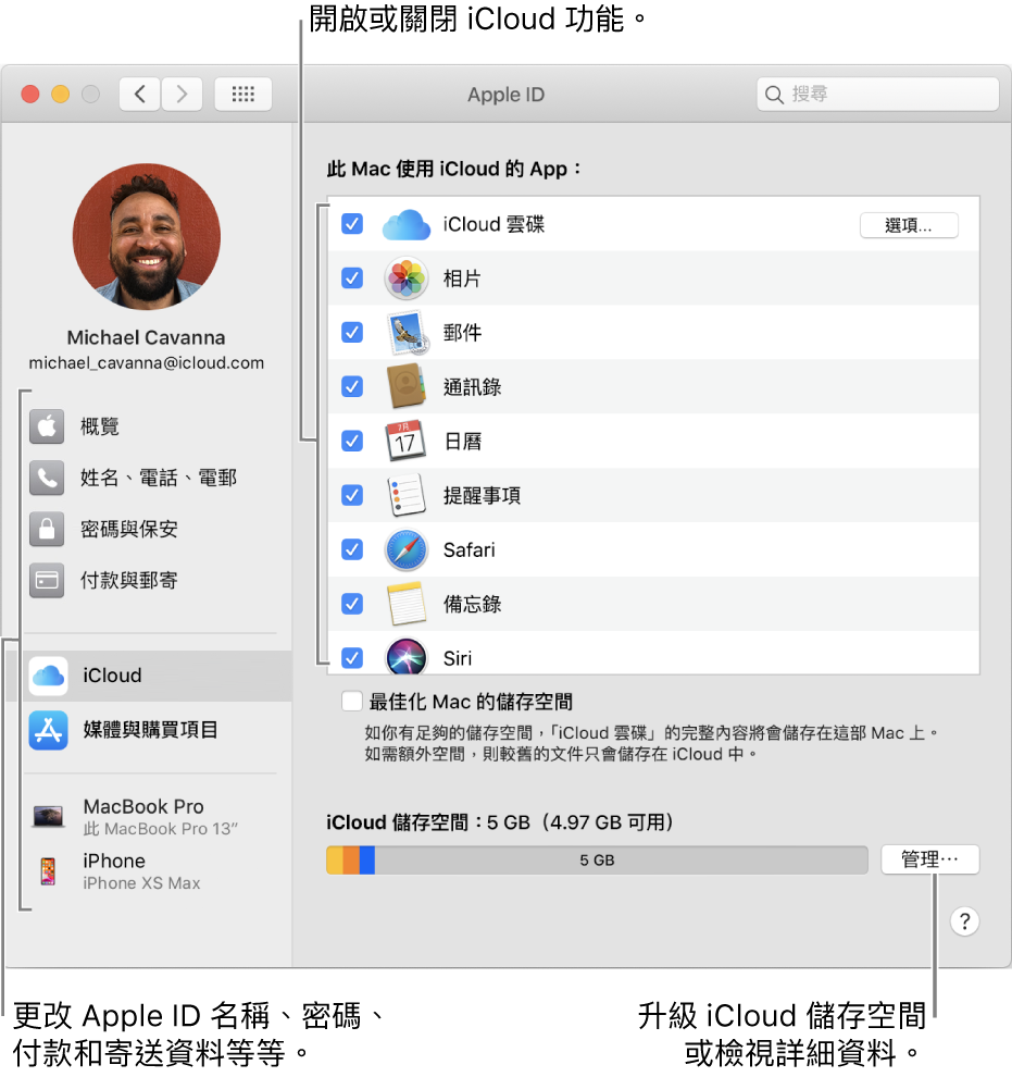 已選取所有功能的 iCloud 偏好設定。