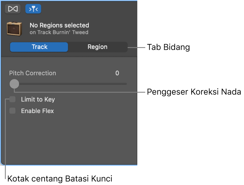 Inspektur Editor Audio dalam mode Track, yang menampilkan penggeser Koreksi Nada dan kotak centang Batasi Hingga Kunci.