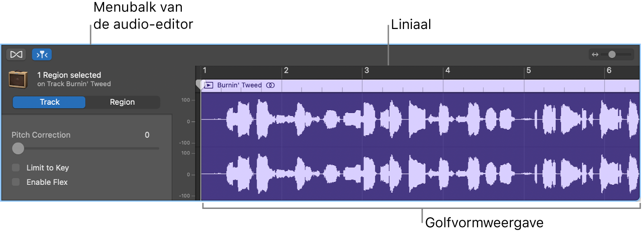 Audio-editor met geselecteerd segment.